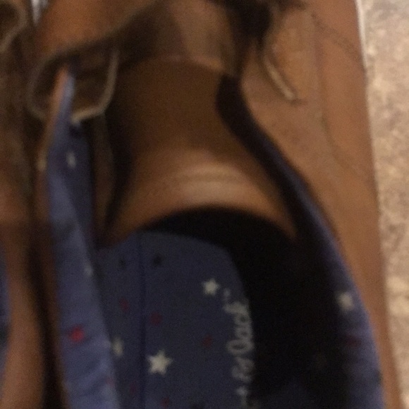 Cat - Picture 2 of 8